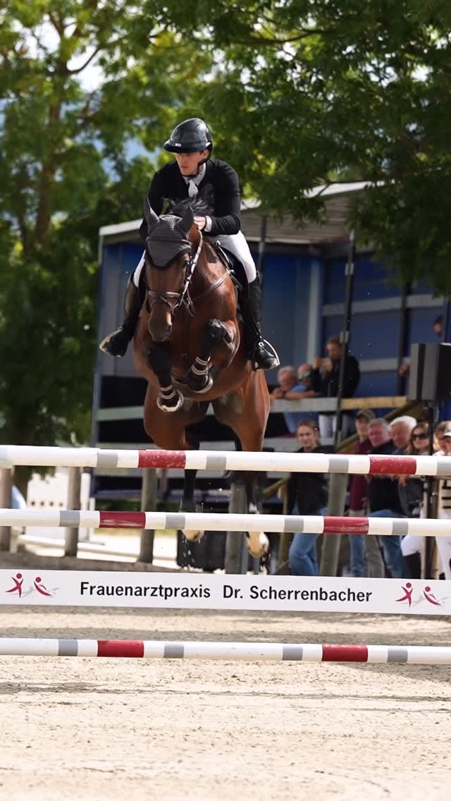 Post 6 by Nickie Leckebusch on Instagram (video)
