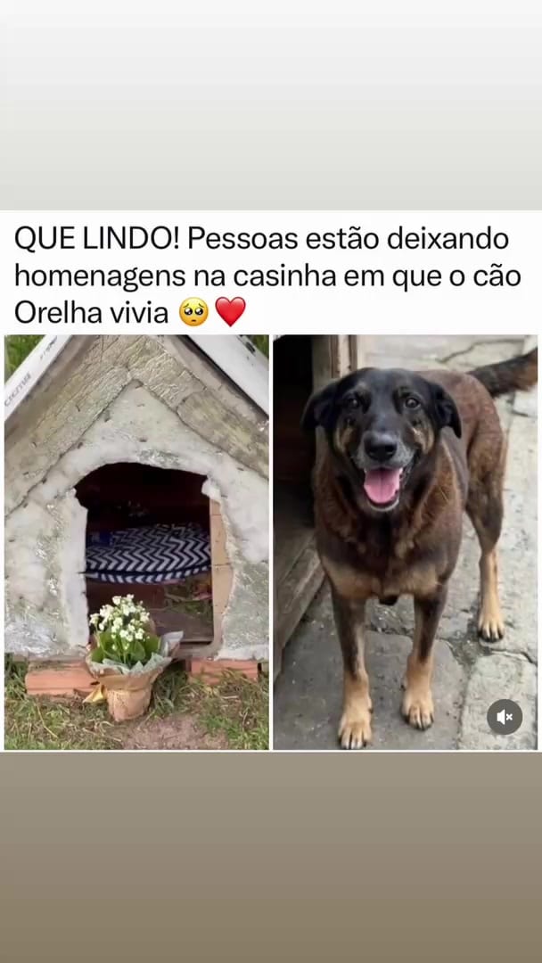 Post 1 by Lilita Olegario💜Inspiraçaoes❤❤ on Instagram (video)