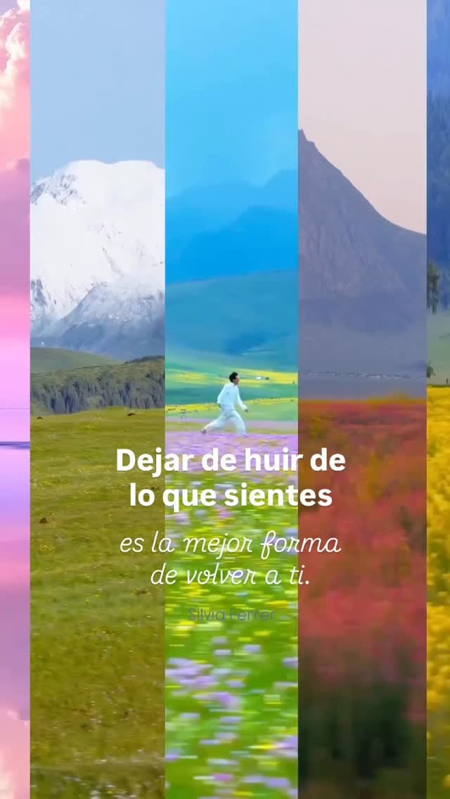 Post 3 by Silvia Ferrer on Instagram (video)