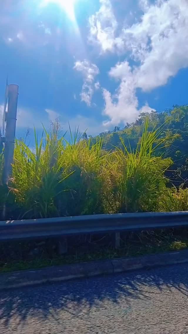 Post 6 by Knocklife on Instagram (video)