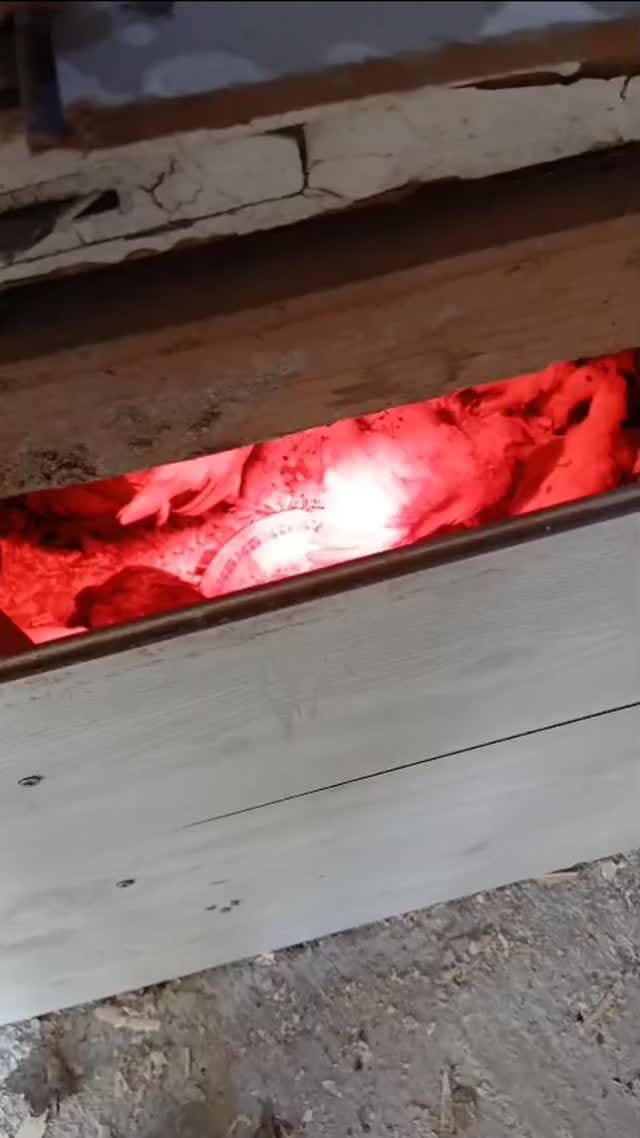 Post 2 by Kamer Sahinyan on Instagram (video)