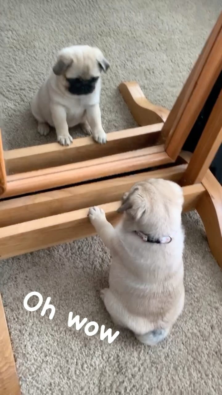 Post 9 by Miss Peaches 🍑 on Instagram (video)
