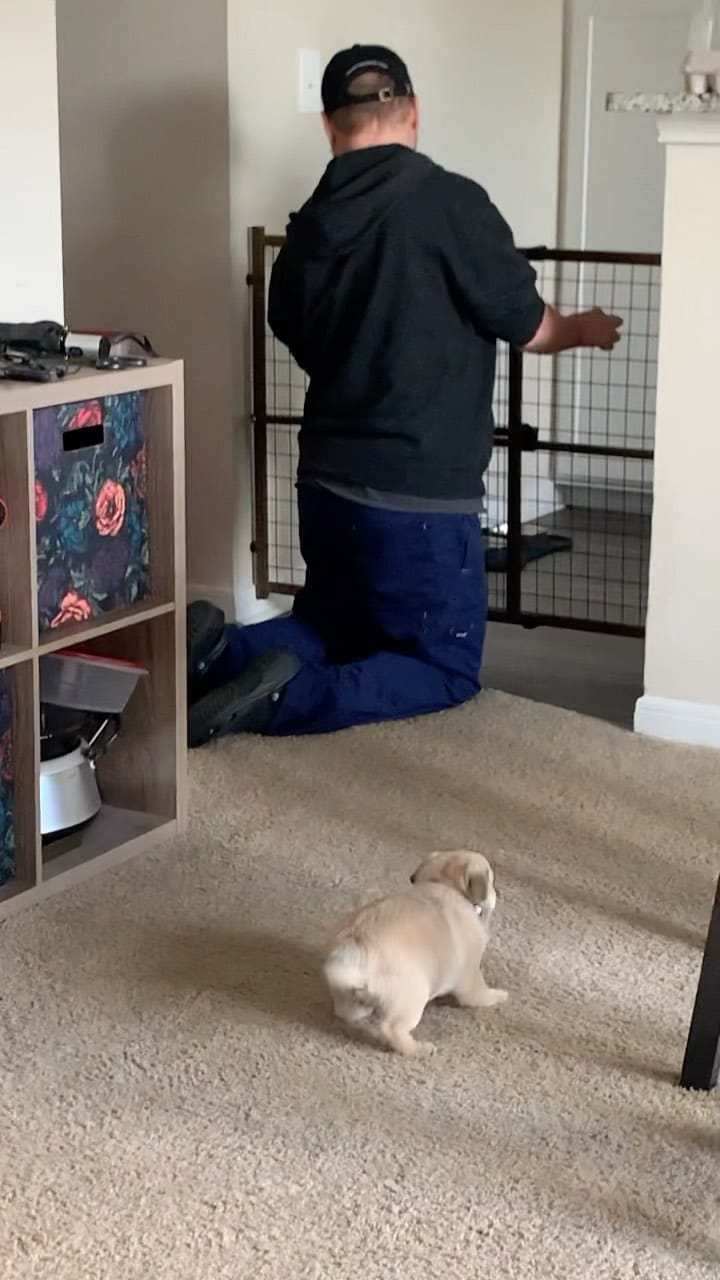 Post 8 by Miss Peaches 🍑 on Instagram (video)