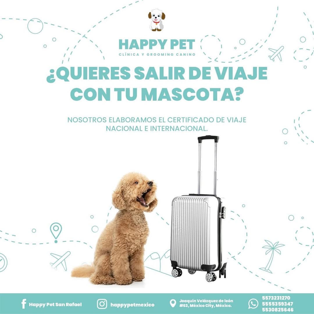 Post 8 by Happypetmexico on Instagram (image)