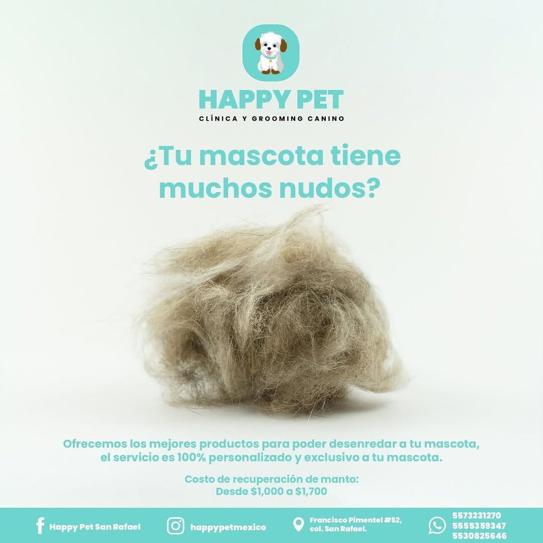 Post 9 by Happypetmexico on Instagram (image)