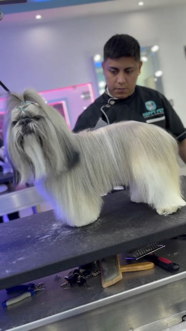 Post 6 by Happypetmexico on Instagram (video)