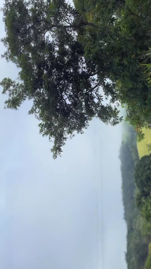 Post 2 by Vitória Andrade on Instagram (video)
