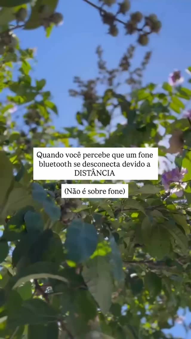 Post 1 by Vitória Andrade on Instagram (video)