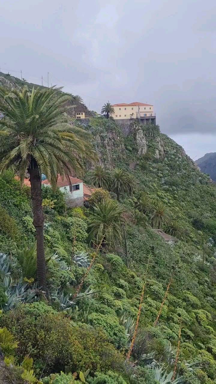 Post 10 by Vilen Bay on Instagram (video)