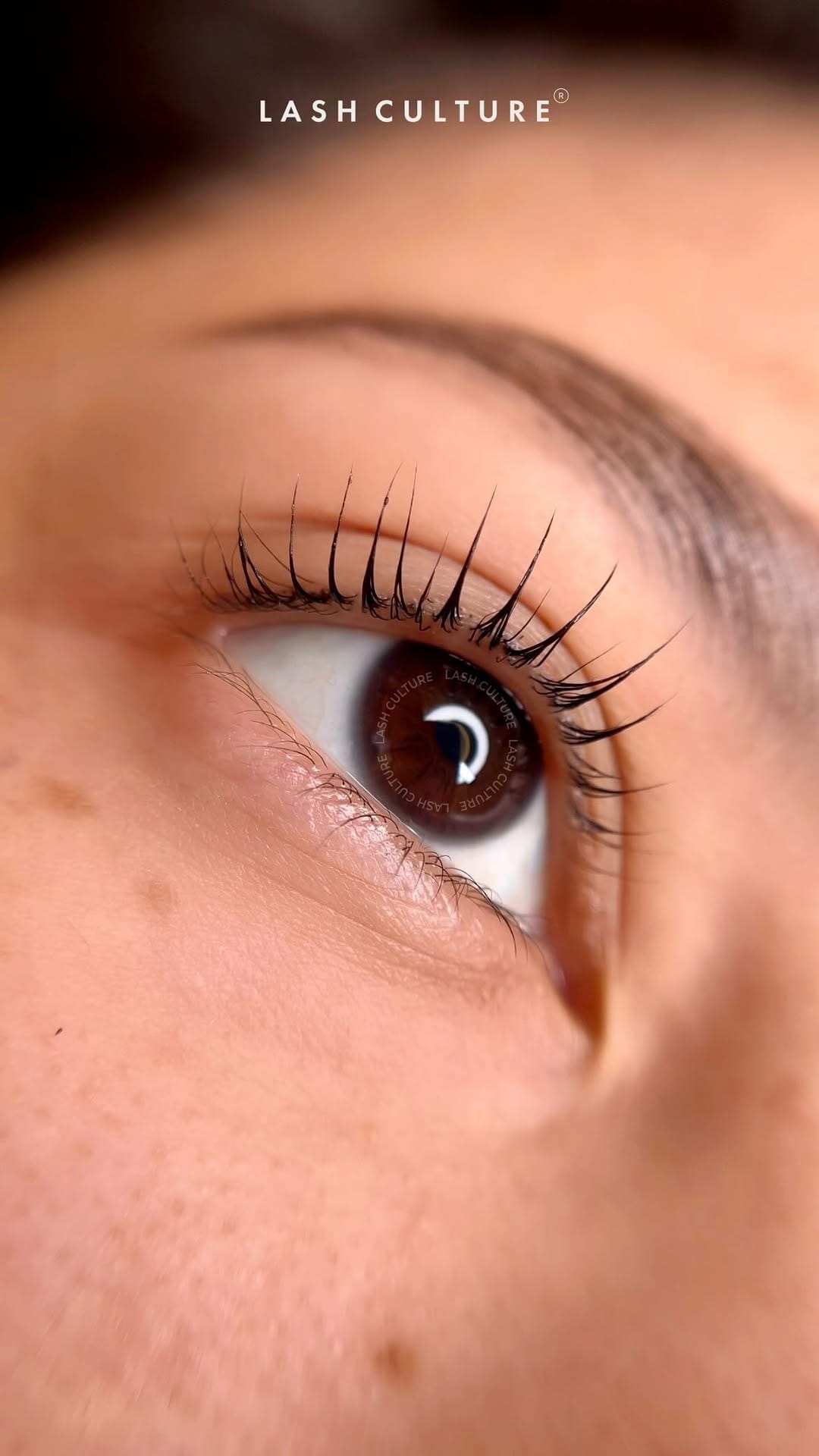 Post 2 by Lash Filler™️ | Eyelash Extensions | Brow Bomber Lamination on Instagram (video)