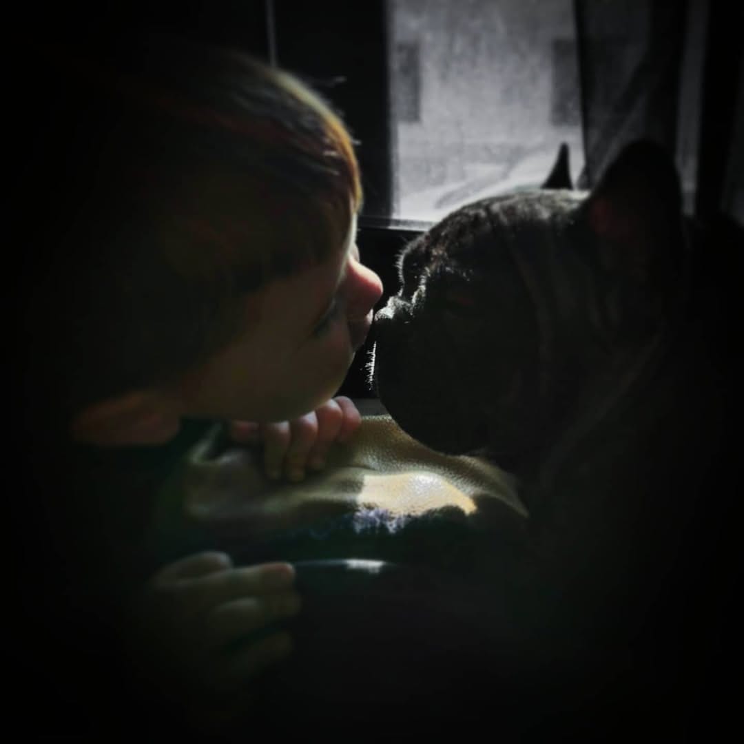 Post 4 by Nebulafrenchie 🐾 on Instagram (image)