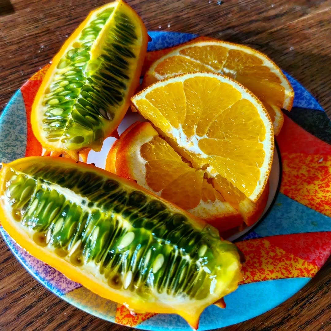 Post 8 by 🇨🇵 ◄ B Ξ N Ø S T Y L Ξ ► 🇲🇫 on Instagram (image)