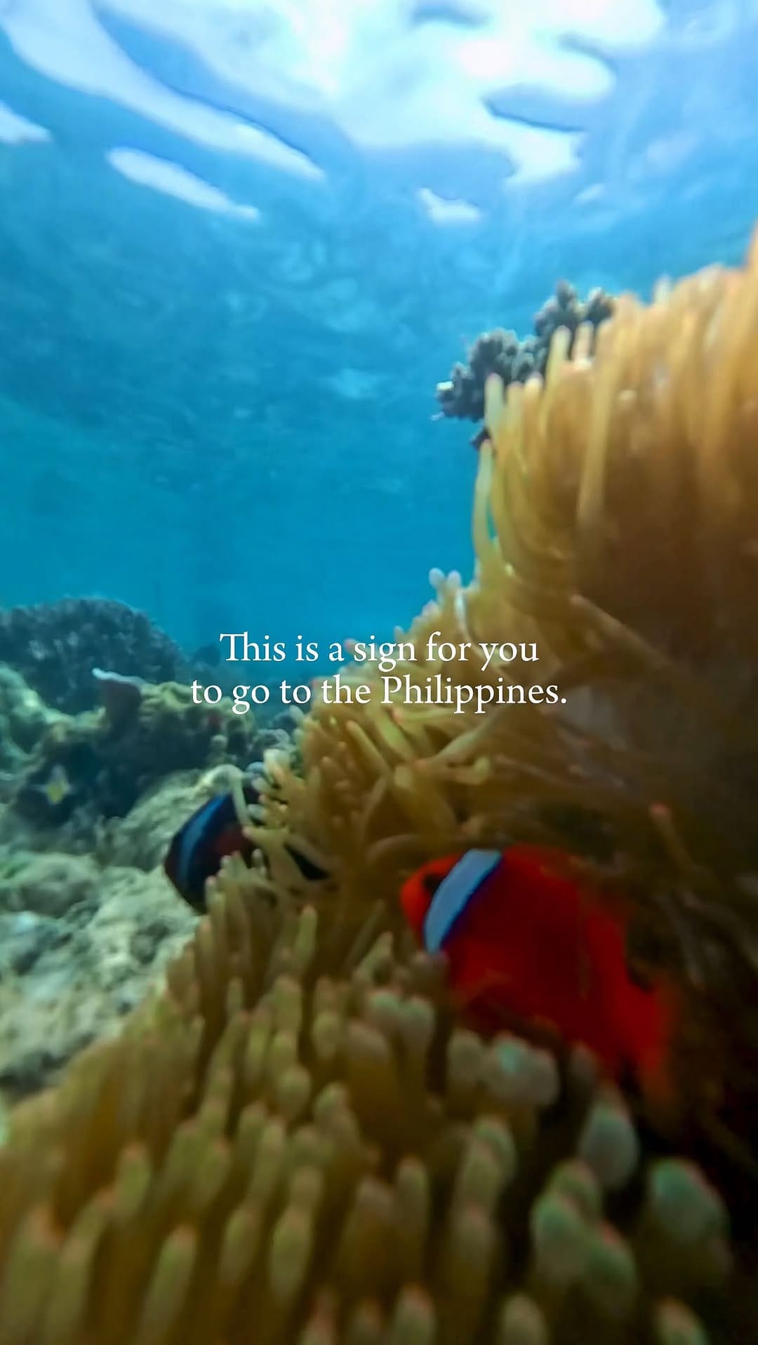 Post 10 by Pati R. Ibarrechevea | UGC CREATOR on Instagram (video)