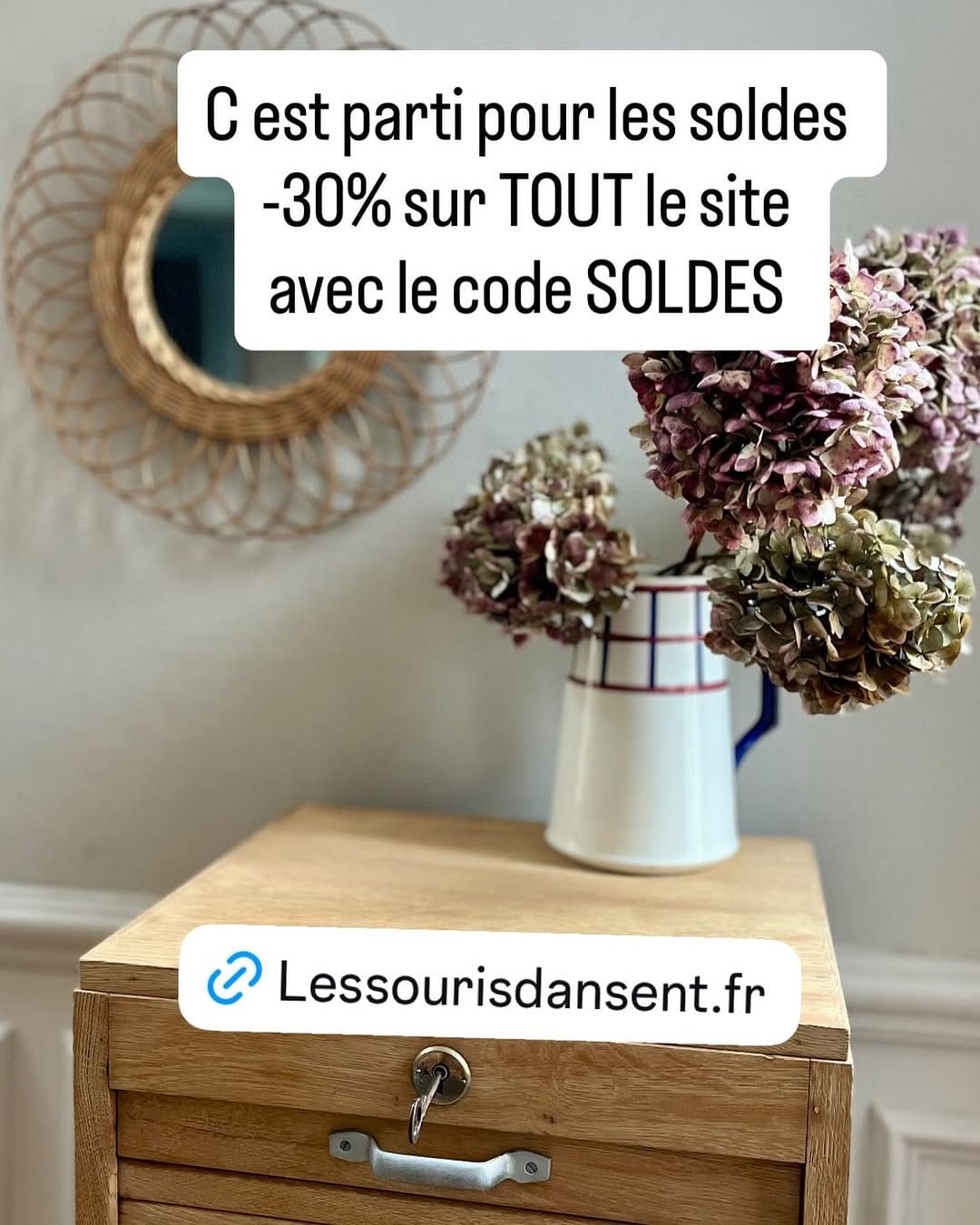 Post 10 by Les souris dansent on Instagram (image)