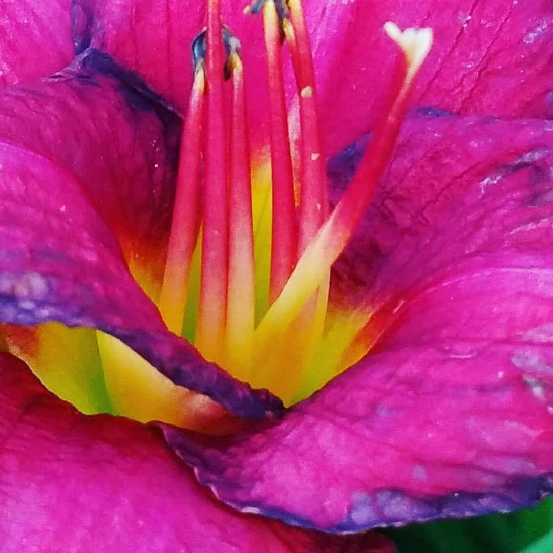 Post 7 by Roberto Blizzard on Instagram (image)