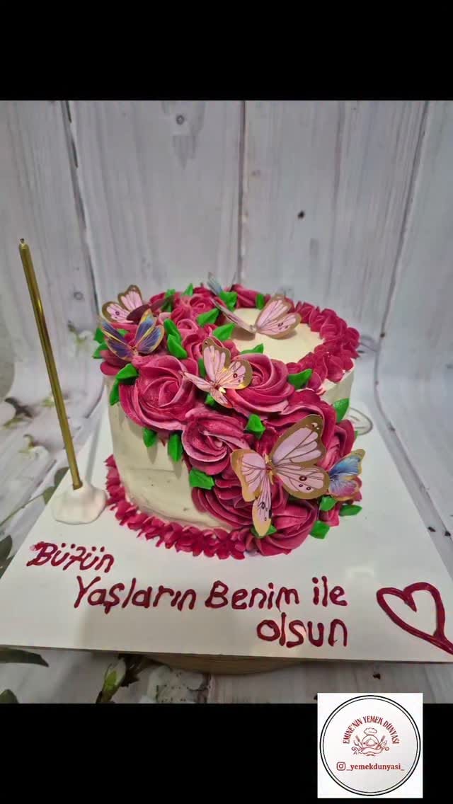 Post 4 by Emine Seçme on Instagram (video)