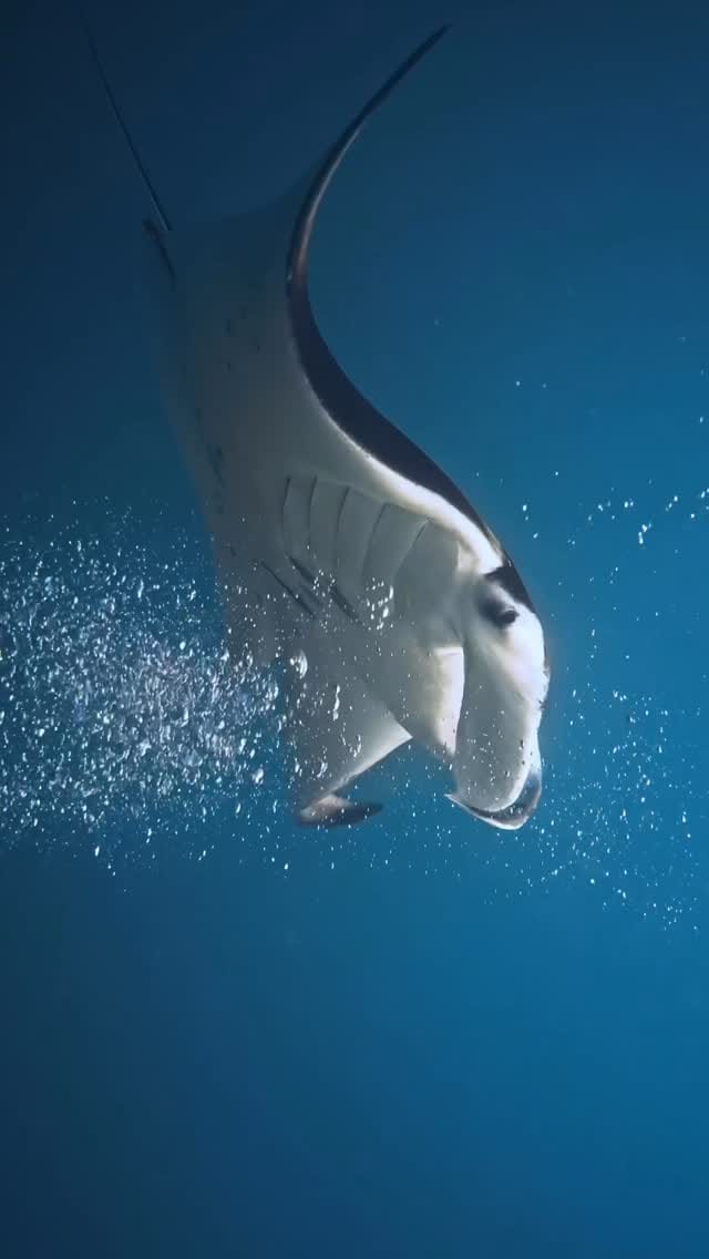 Post 4 by Une Sh on Instagram (video)