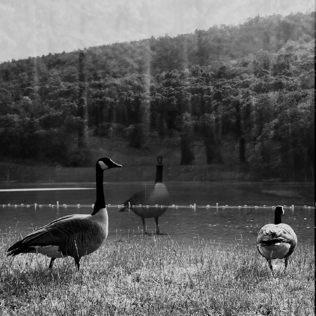 Post 5 by E on Instagram (image)