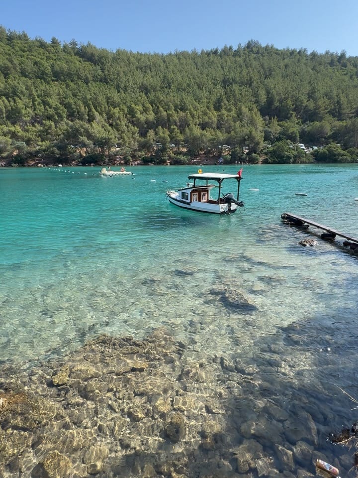 Post 2 by Mehmet Sert on Instagram (carousel)
