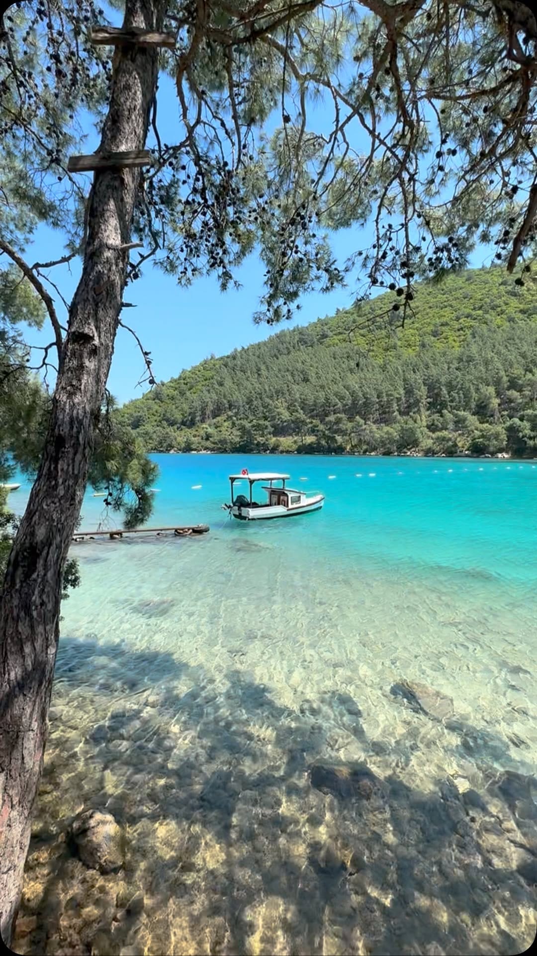 Post 4 by Mehmet Sert on Instagram (video)