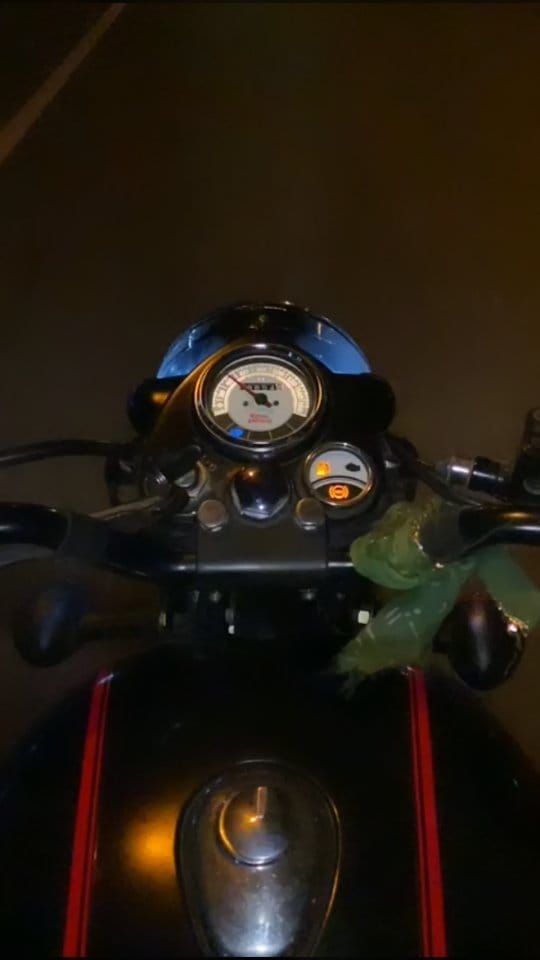 Post 10 by 🇮 🇲 🇷 🇪 🇭 🇦 🇳 on Instagram (video)