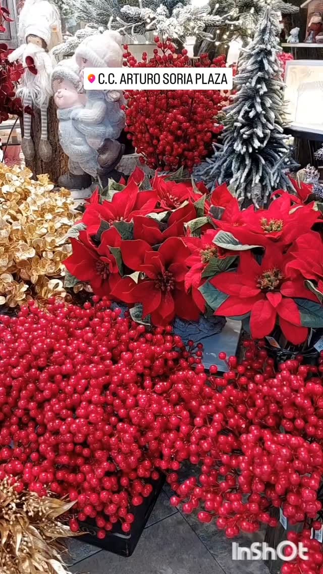 Post 6 by FLORISTERÍA AMARYLIS on Instagram (video)