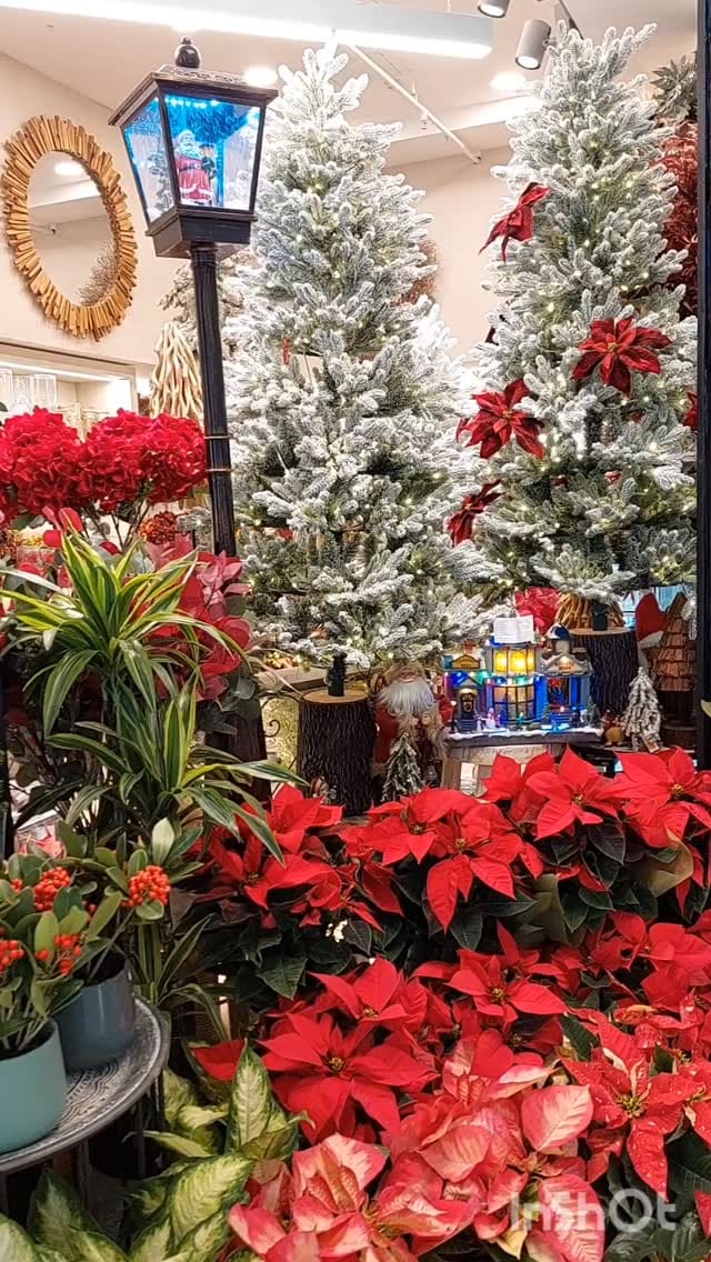 Post 10 by FLORISTERÍA AMARYLIS on Instagram (video)