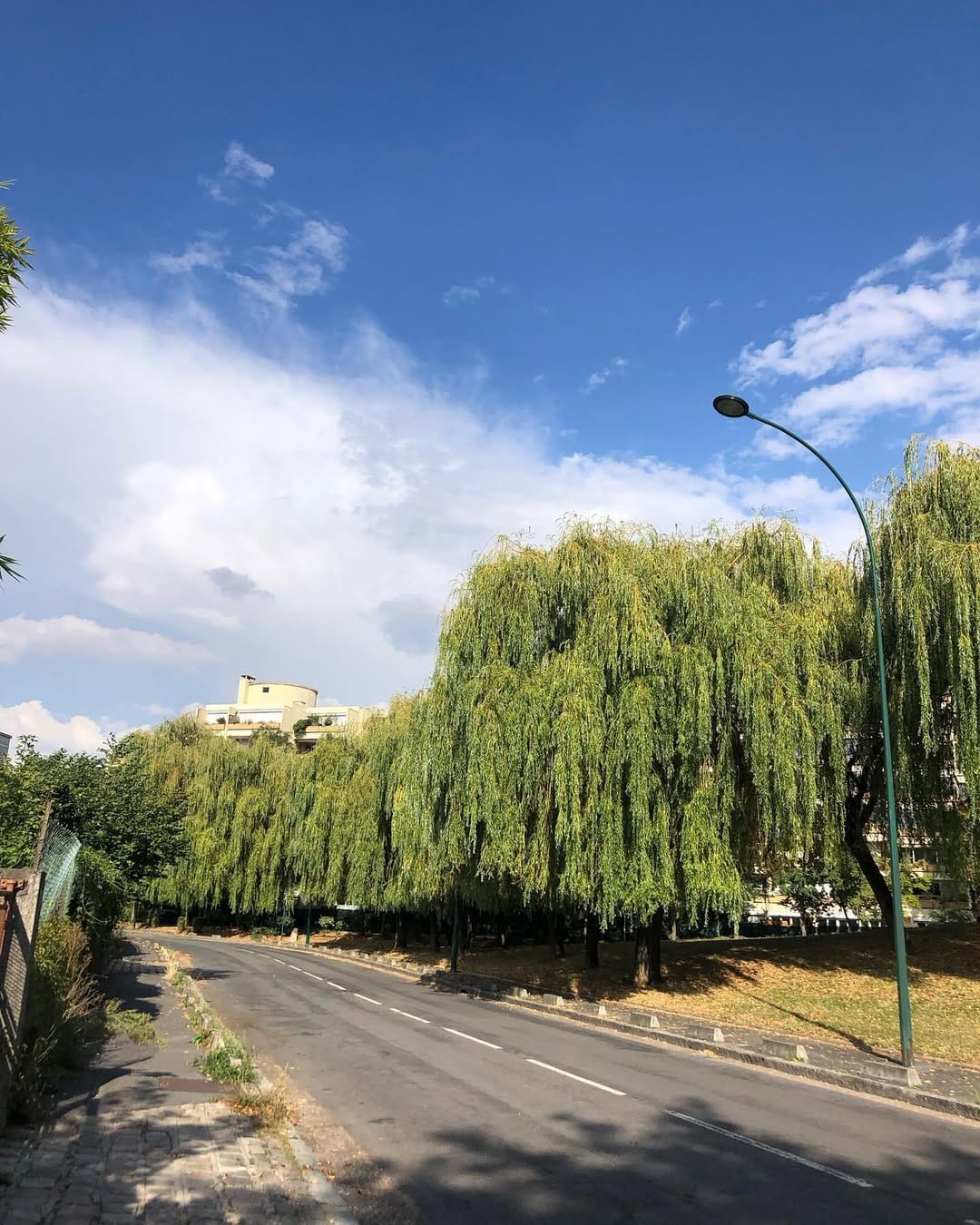 Post 4 by 𝐒𝐭𝐞𝐟𝐟𝐲  :) on Instagram (image)