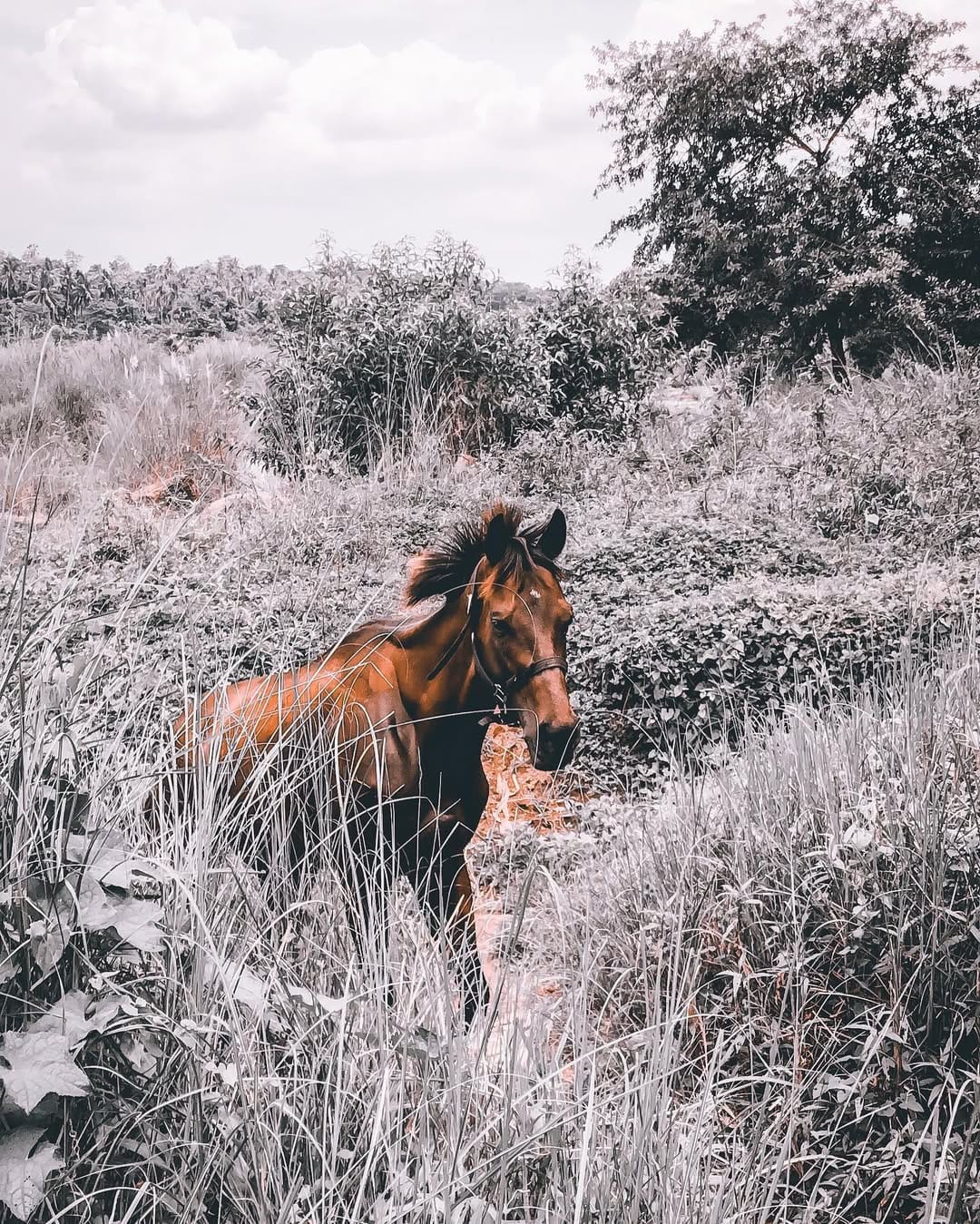 Post 9 by TRAVEL SHADEED✈️🌏 on Instagram (carousel)