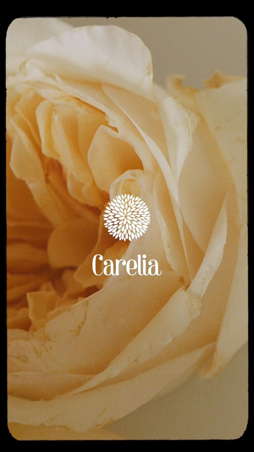 Post 1 by Carelia Petits on Instagram (video)