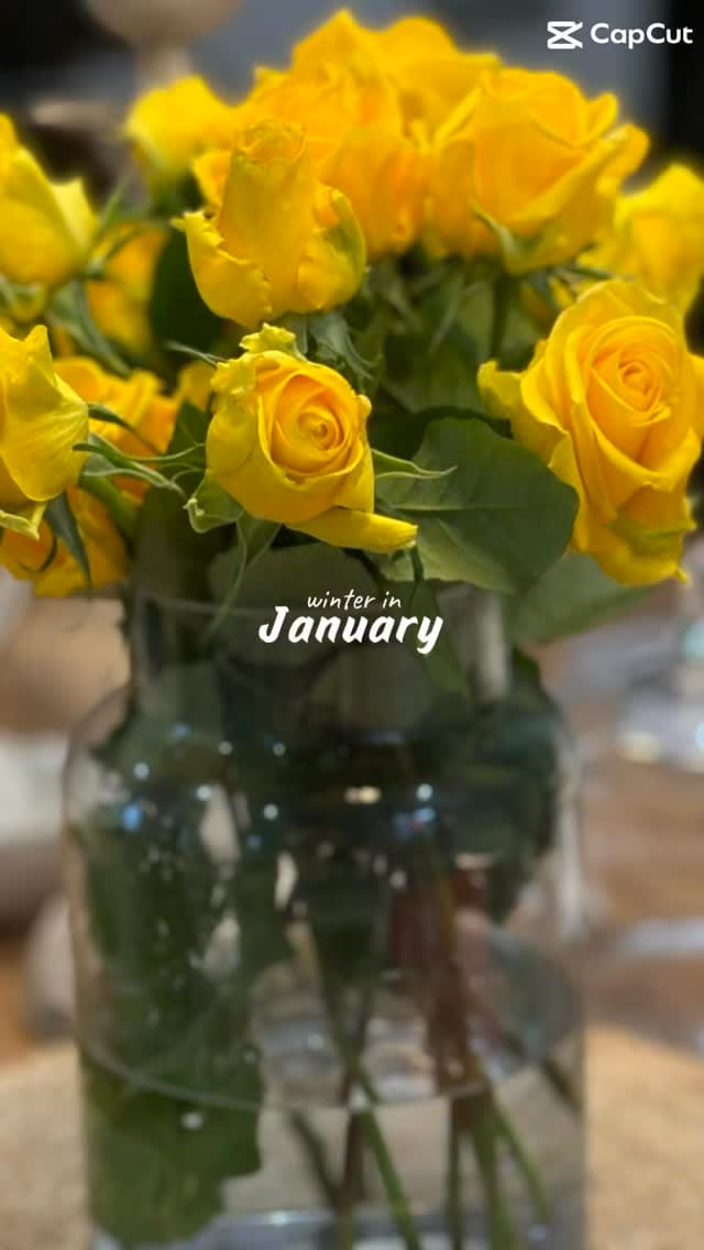 Post 8 by Lorien Cross on Instagram (video)