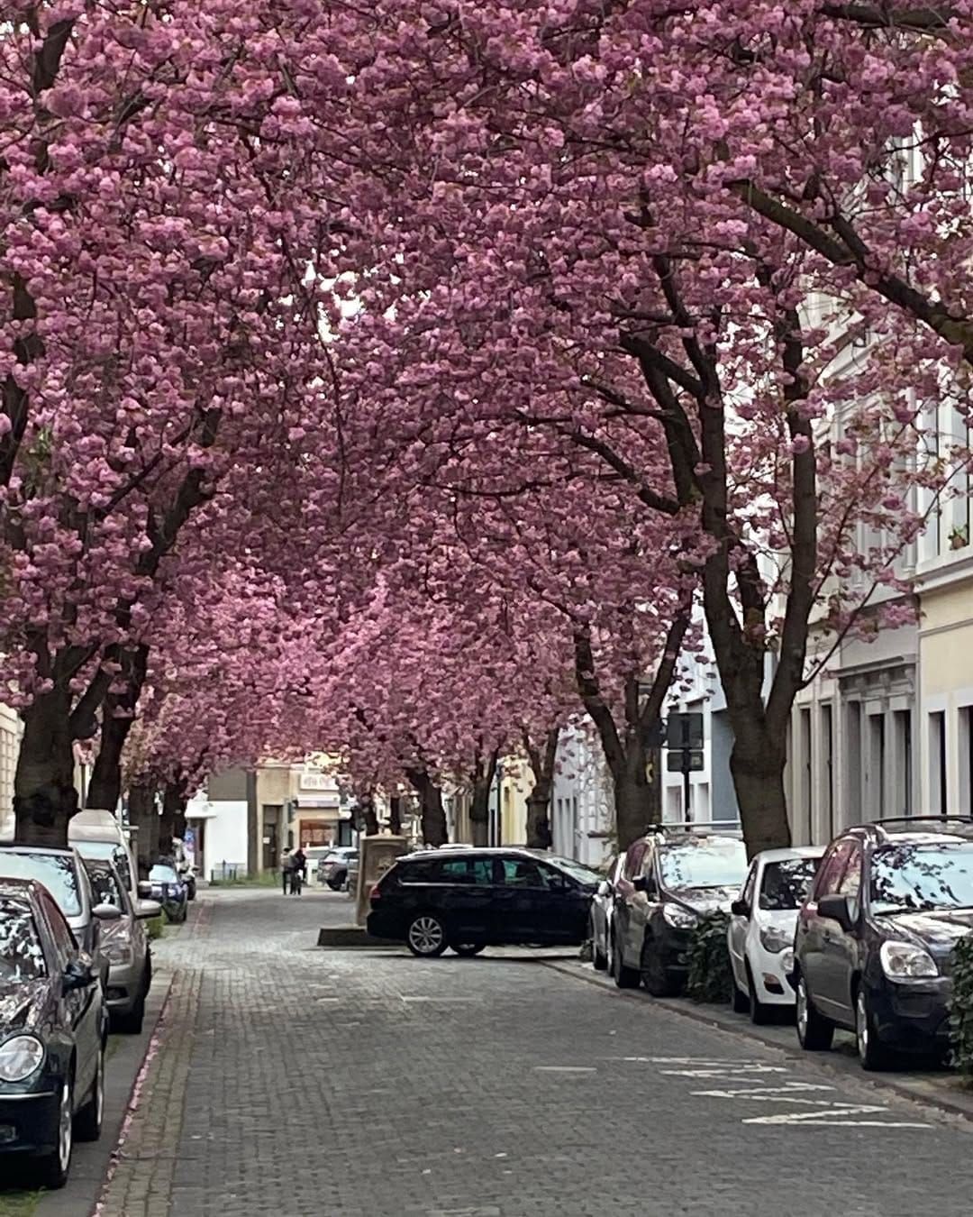 Post 1 by Isabella Kohlhaas on Instagram (image)