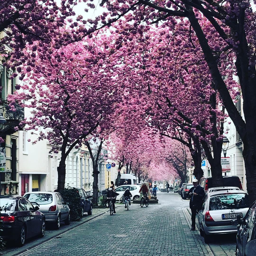 Post 9 by Isabella Kohlhaas on Instagram (image)