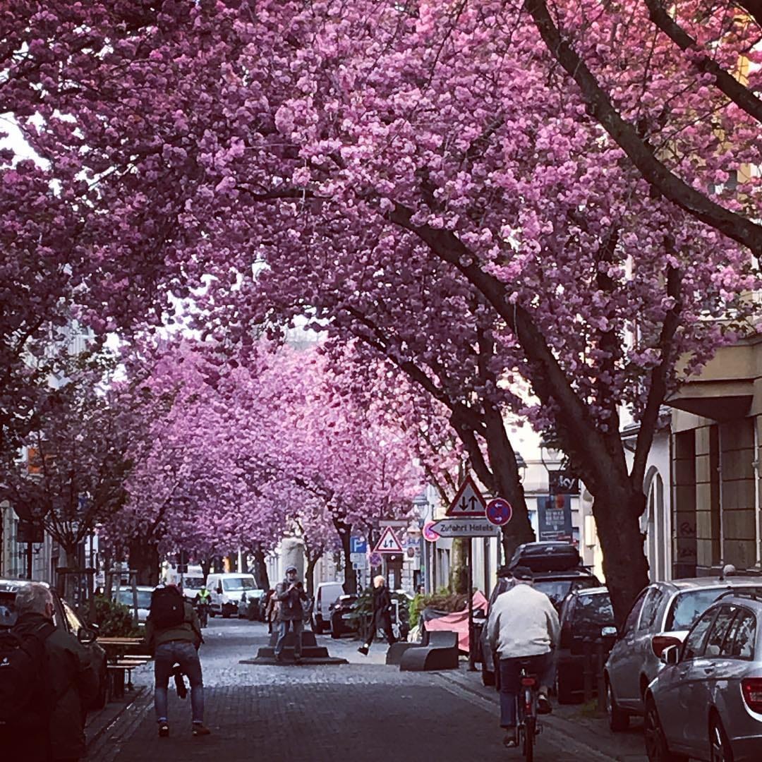 Post 8 by Isabella Kohlhaas on Instagram (image)