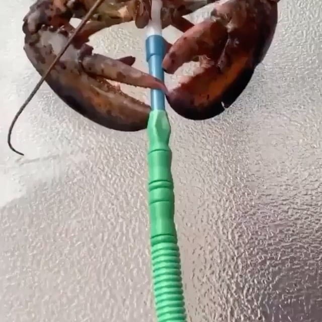 Post 7 by Cloud House San Diego ☁️ on Instagram (video)