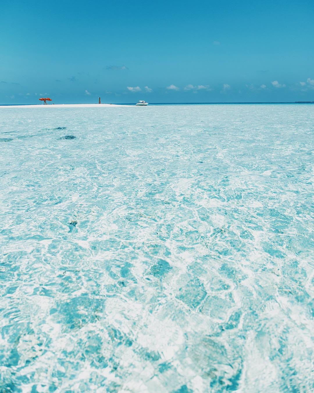 Post 9 by @contraevolution on Instagram (image)