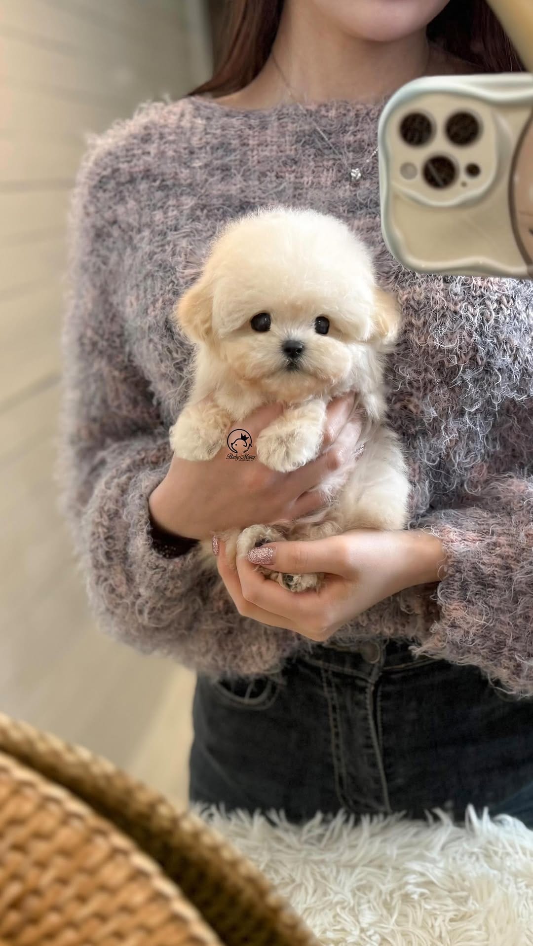Post 1 by (주)더몽코리아 베이비몽 on Instagram (video)