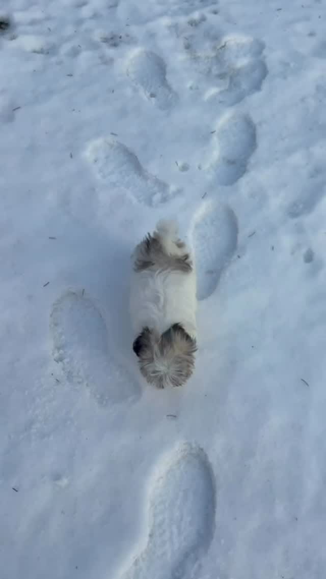 Post 6 by ilknur yaşarhabbaba✨ on Instagram (video)