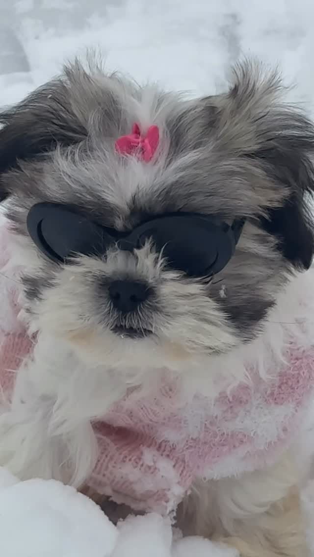 Post 8 by ilknur yaşarhabbaba✨ on Instagram (video)