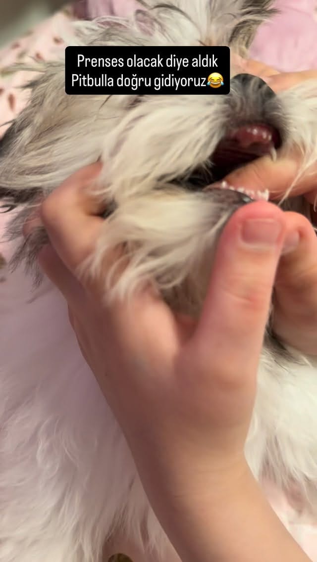 Post 1 by ilknur yaşarhabbaba✨ on Instagram (video)