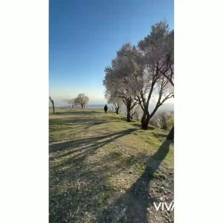 Post 9 by fateme.ghamarpoor on Instagram (video)
