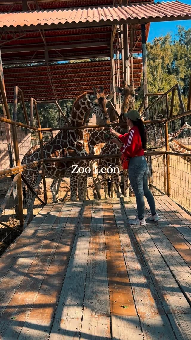Post 5 by Marielena Ortega on Instagram (video)