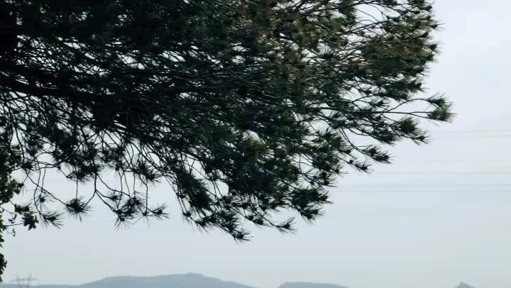 Post 10 by Daniel Diaz on Instagram (video)