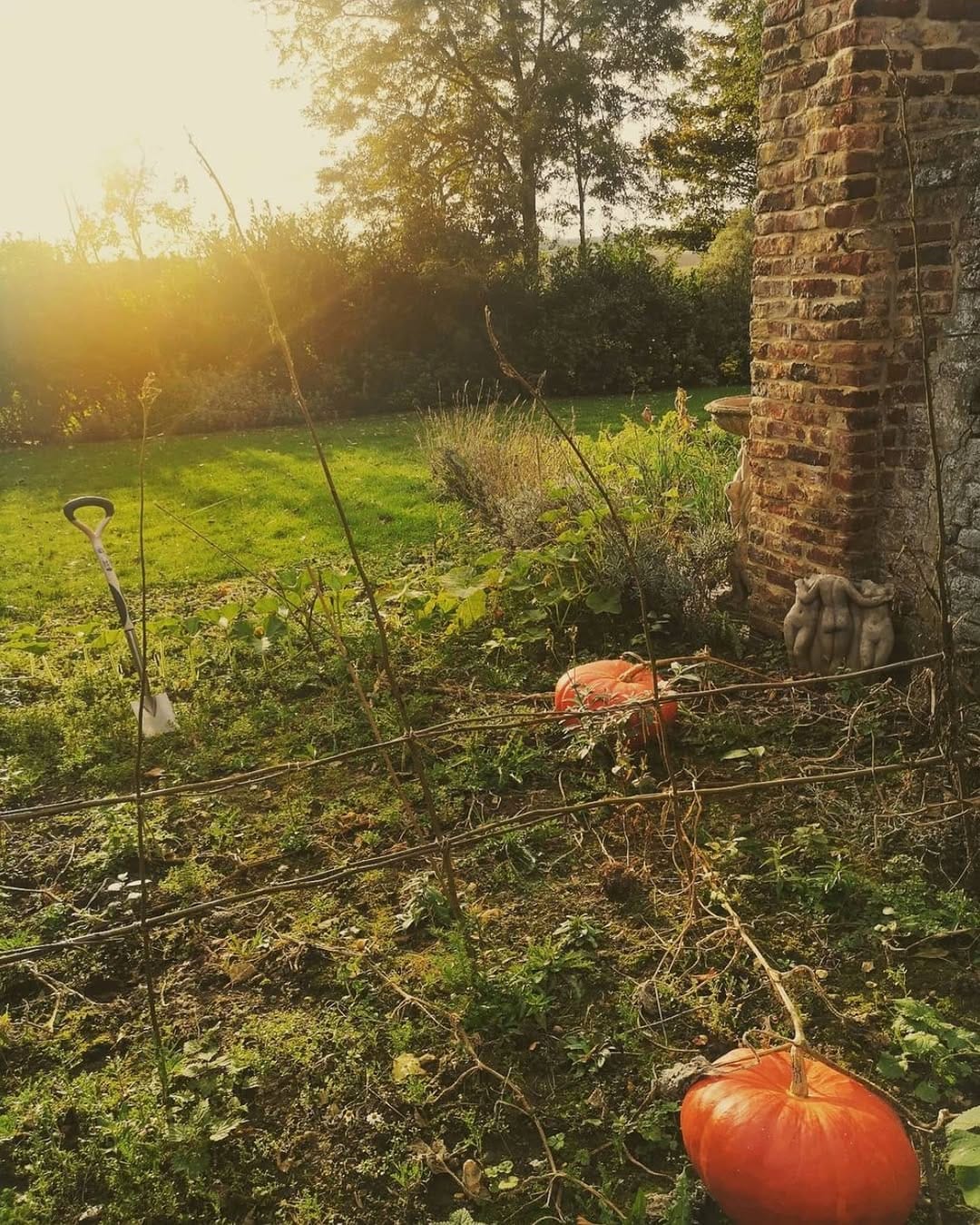 Post 8 by Château De Dohem on Instagram (image)