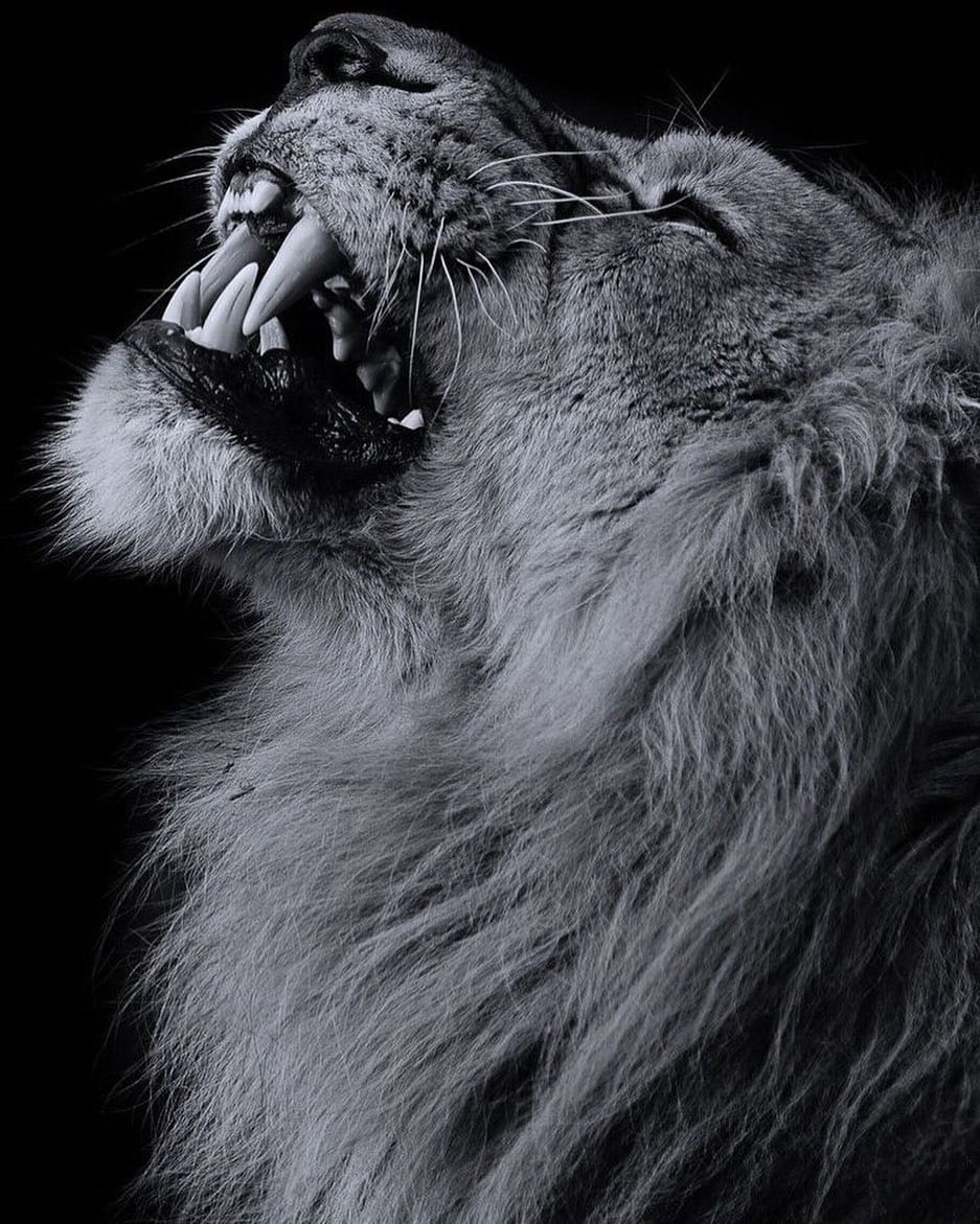 Post 3 by IBRAHIMA FALL on Instagram (image)