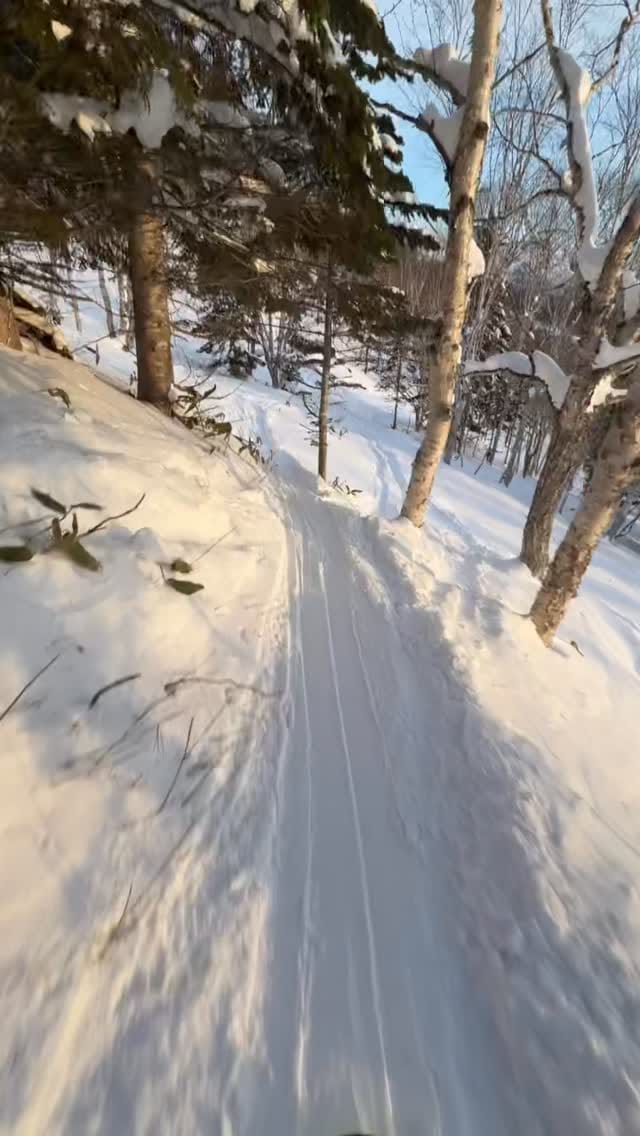 Post 5 by Elena Russo on Instagram (video)