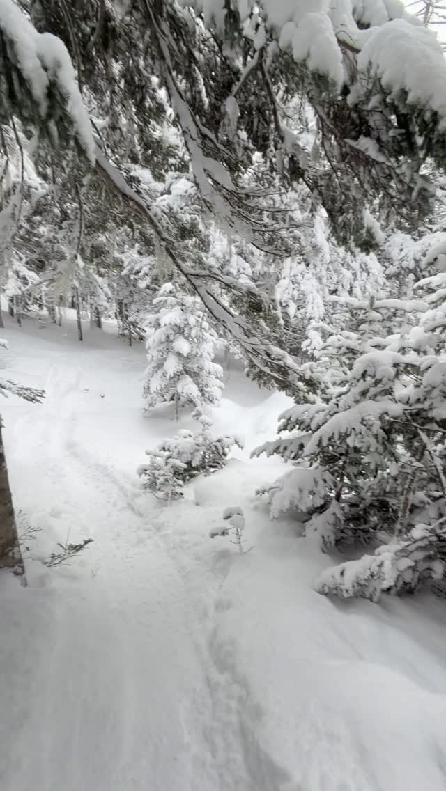 Post 1 by Elena Russo on Instagram (video)