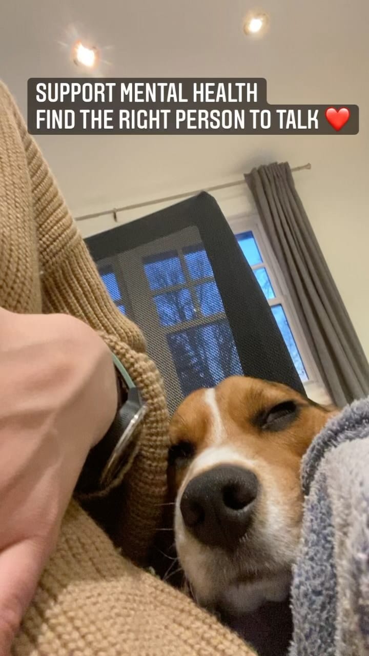 Post 3 by Mr Miyagi the beagle on Instagram (video)