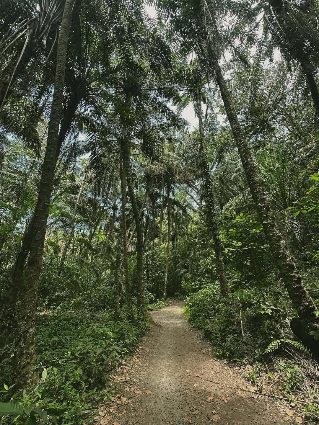 Post 8 by Ana Jesus on Instagram (carousel)