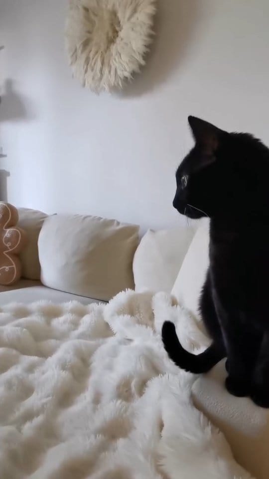 Post 6 by D é b o on Instagram (video)